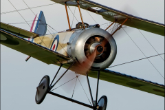 1st - Pup - Keith Brooks - Trophy-winner