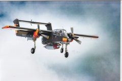 Rockwell Bronco, Gordon de Sousa, First Time Entry