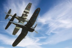 Spitfire FR XIVe and Corsair, Beth Braham, Public Vote Second