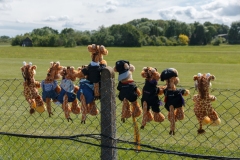 Waiting for the Airshow, Paul Braham, Public Vote Fourth=