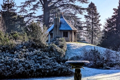 Public Vote Other Shuttleworth Third: Swiss Garden - Gordon de Sousa